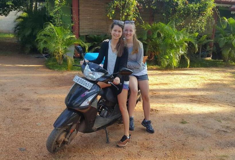 Vandrarhem Sayare Inn