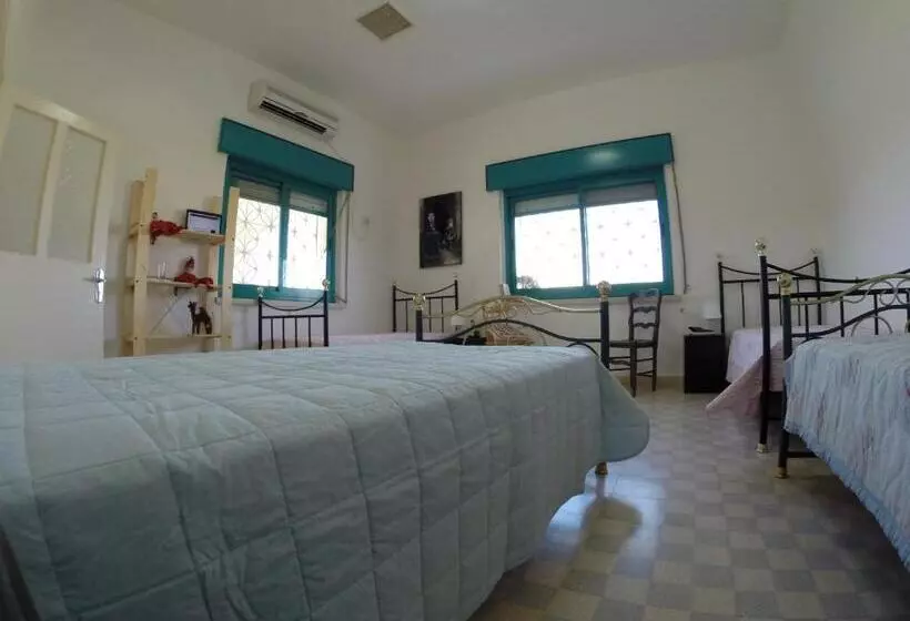 تختخواب و صبحانه Auberg Inn Guesthouse