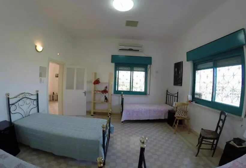 تختخواب و صبحانه Auberg Inn Guesthouse