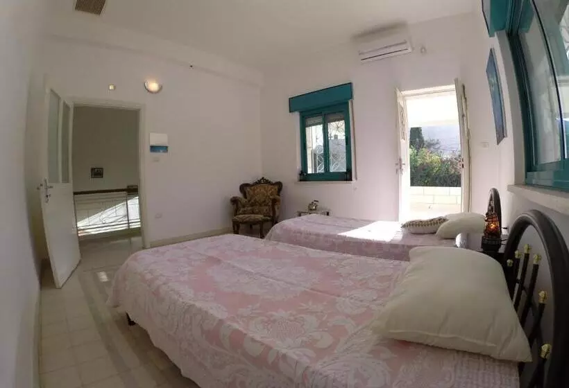 تختخواب و صبحانه Auberg Inn Guesthouse