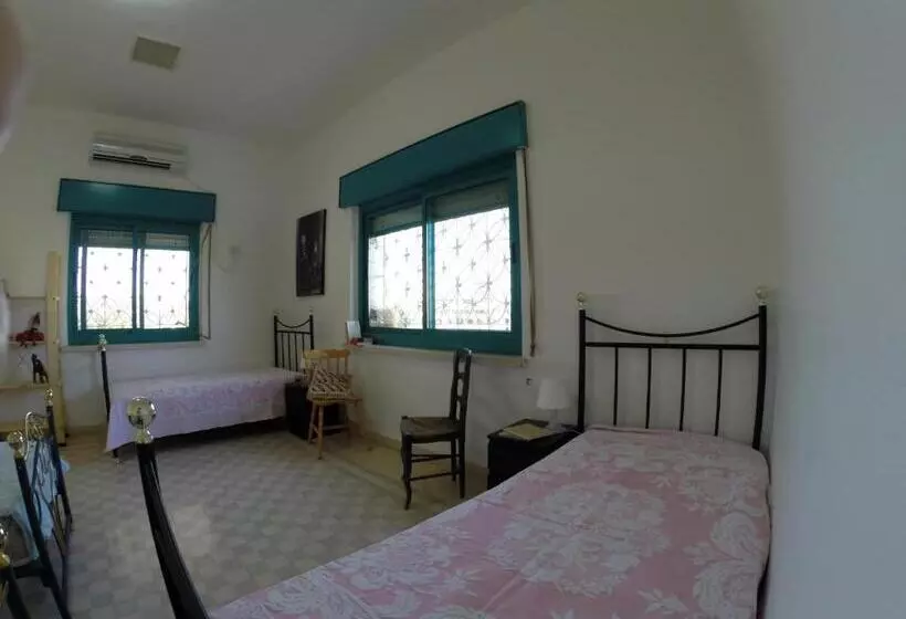 تختخواب و صبحانه Auberg Inn Guesthouse