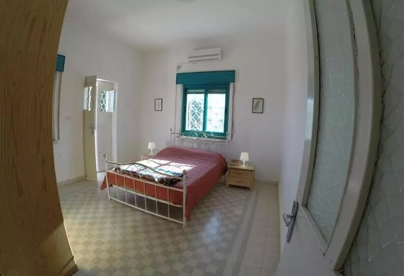 تختخواب و صبحانه Auberg Inn Guesthouse