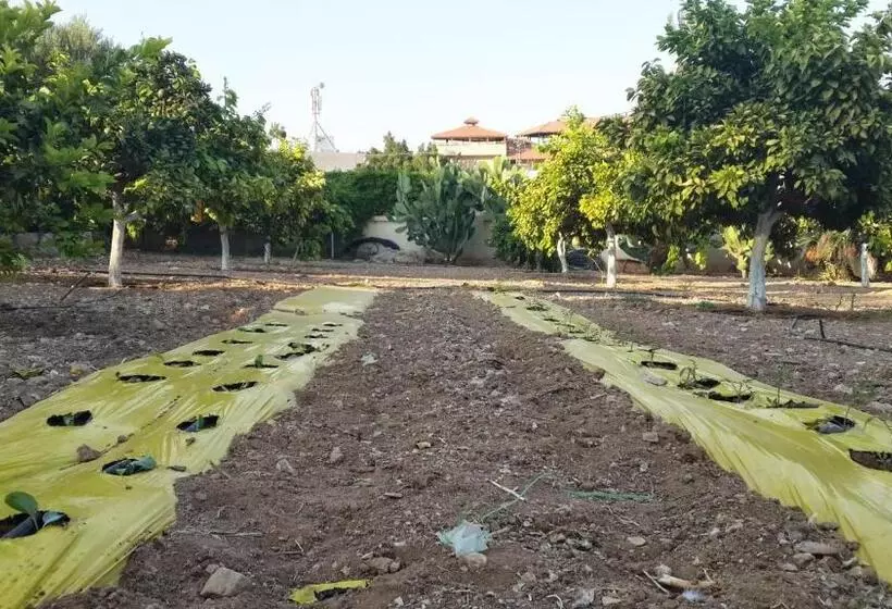 تختخواب و صبحانه Auberg Inn Guesthouse