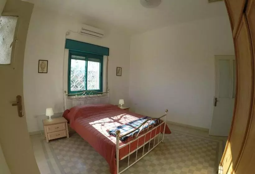 تختخواب و صبحانه Auberg Inn Guesthouse