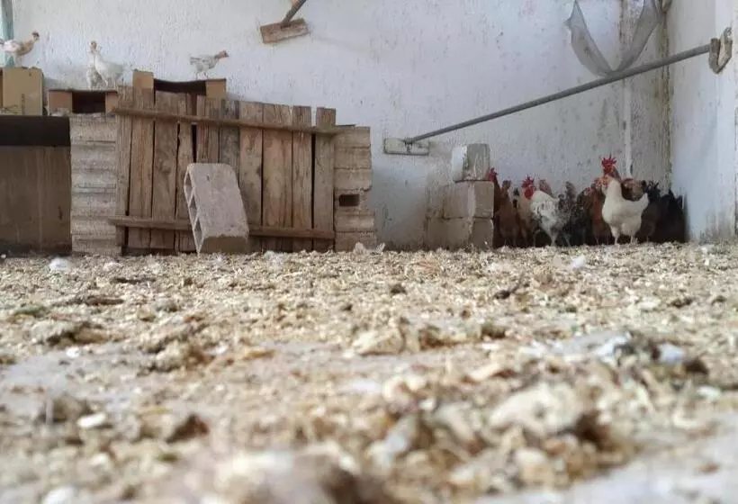 تختخواب و صبحانه Auberg Inn Guesthouse