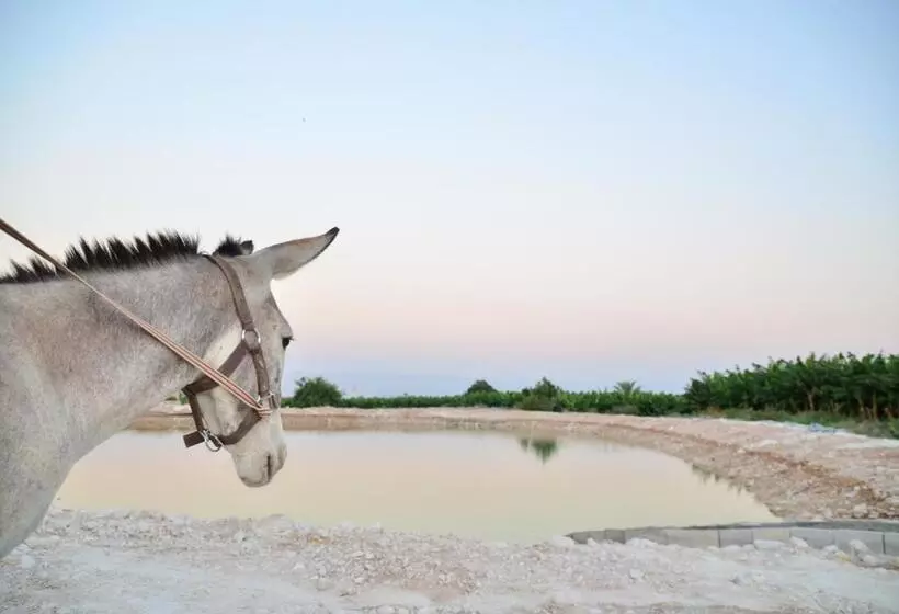 تختخواب و صبحانه Auberg Inn Guesthouse