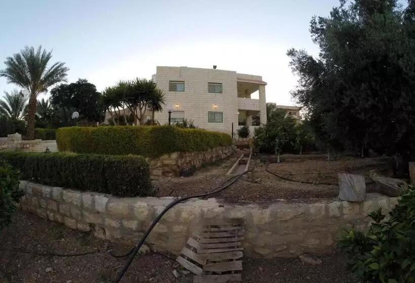 تختخواب و صبحانه Auberg Inn Guesthouse