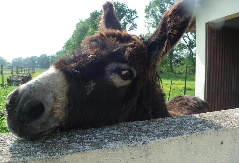 Bed and Breakfast Les Malvaux