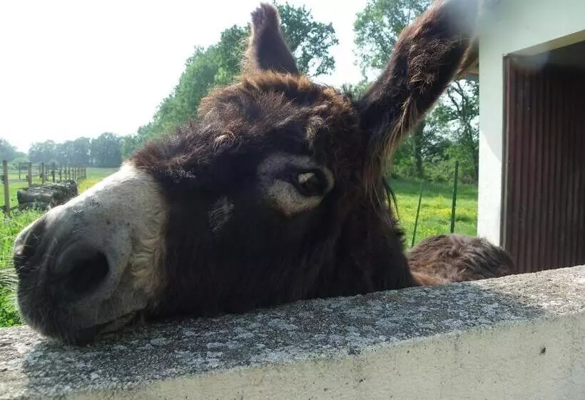 Aamiaismajoitus (B&B) Les Malvaux