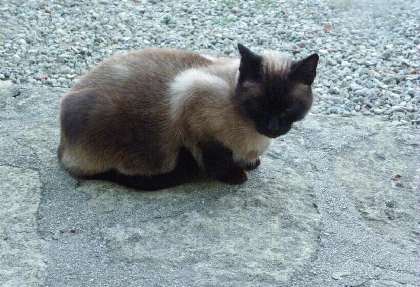 Bed and Breakfast Les Malvaux