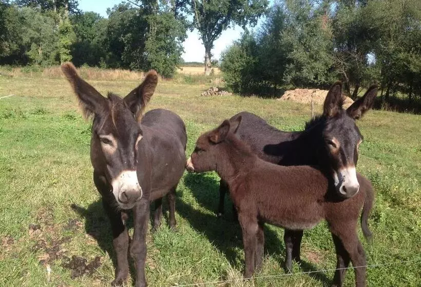 Aamiaismajoitus (B&B) Les Malvaux