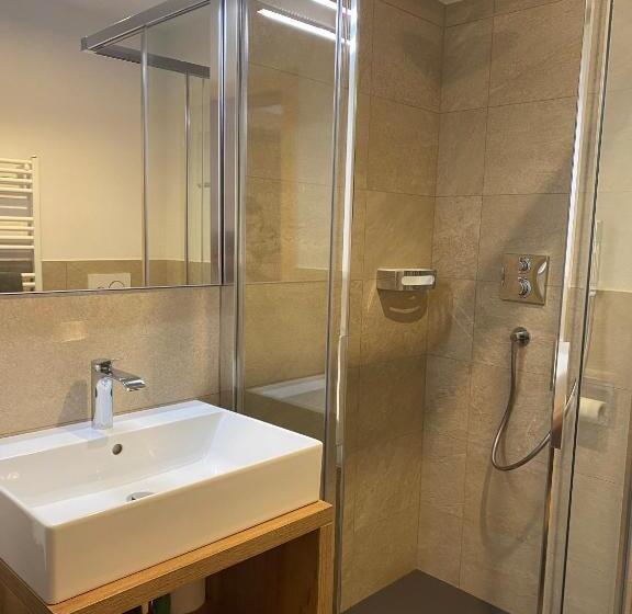 膳宿费 Ciasa De Lenz