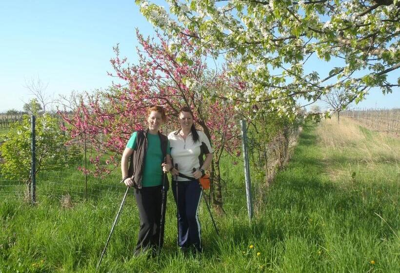 Пансион Haus Martin Schneeberger