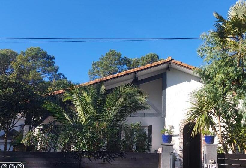 پانسیون Villa Zaphira