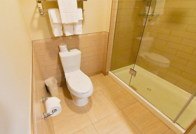 Отель Canad Inns Health Sciences Centre