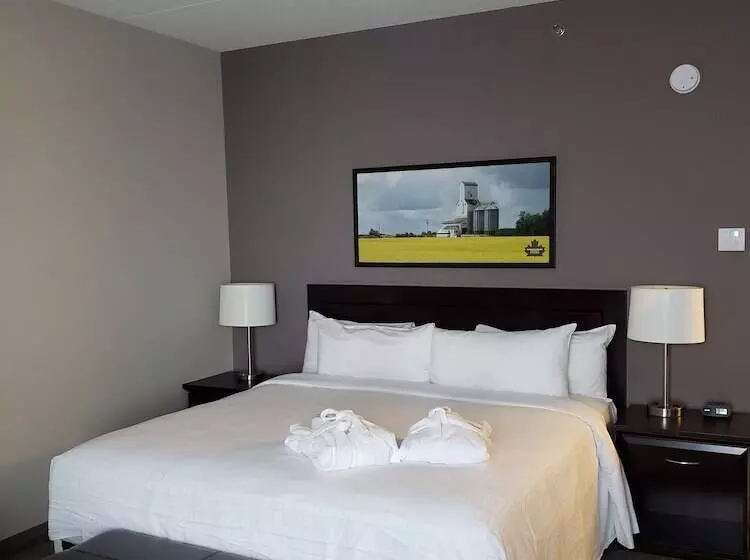 ホテル Canad Inns Health Sciences Centre