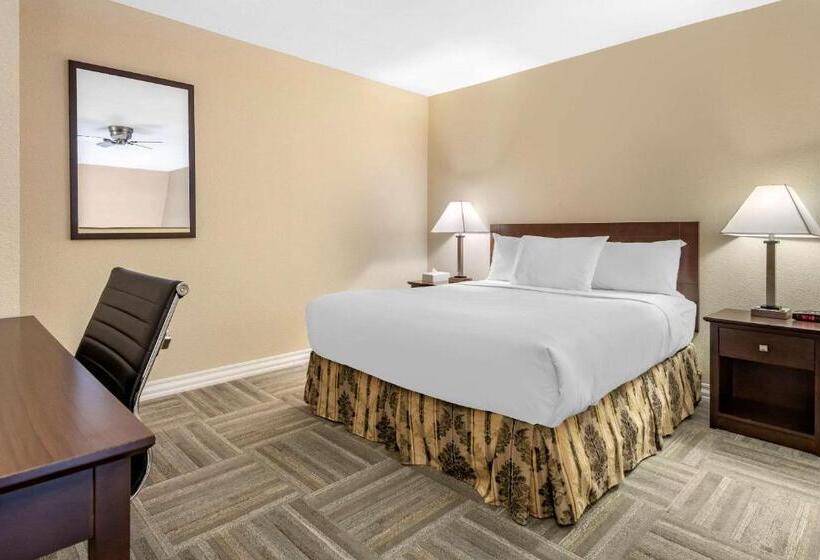 בית מלון כפרי Econo Lodge Inn & Suites