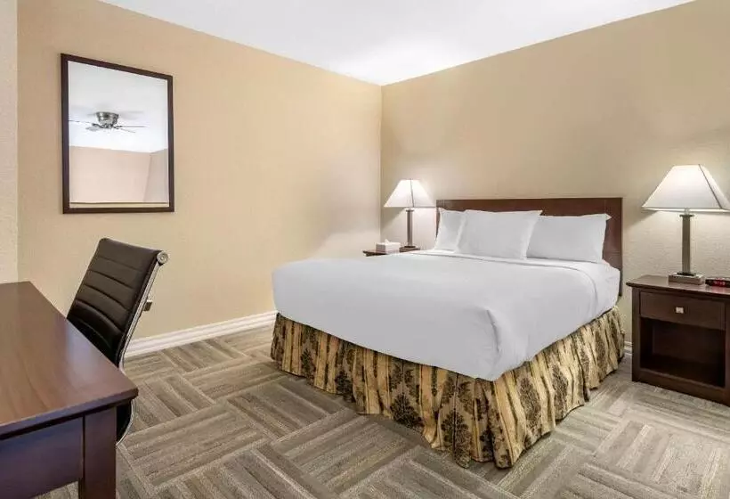 호텔 Econo Lodge Inn & Suites