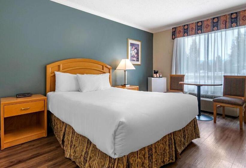 בית מלון כפרי Econo Lodge Inn & Suites