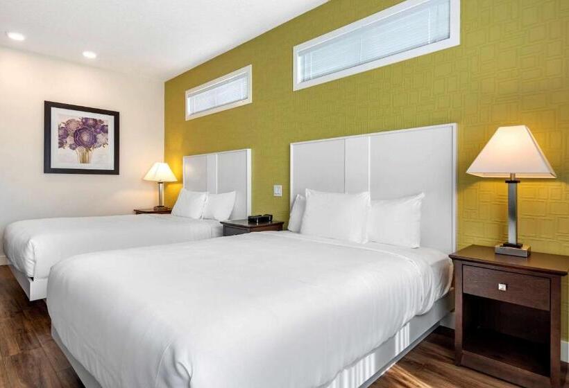 בית מלון כפרי Econo Lodge Inn & Suites