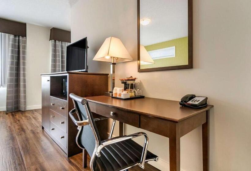 בית מלון כפרי Econo Lodge Inn & Suites