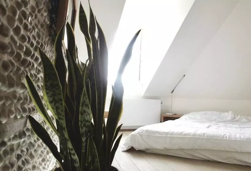 בית מלון כפרי Hidden Bay