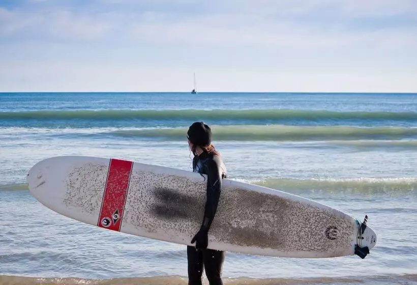호텔 Le Petit Baigneur Palavas Plage