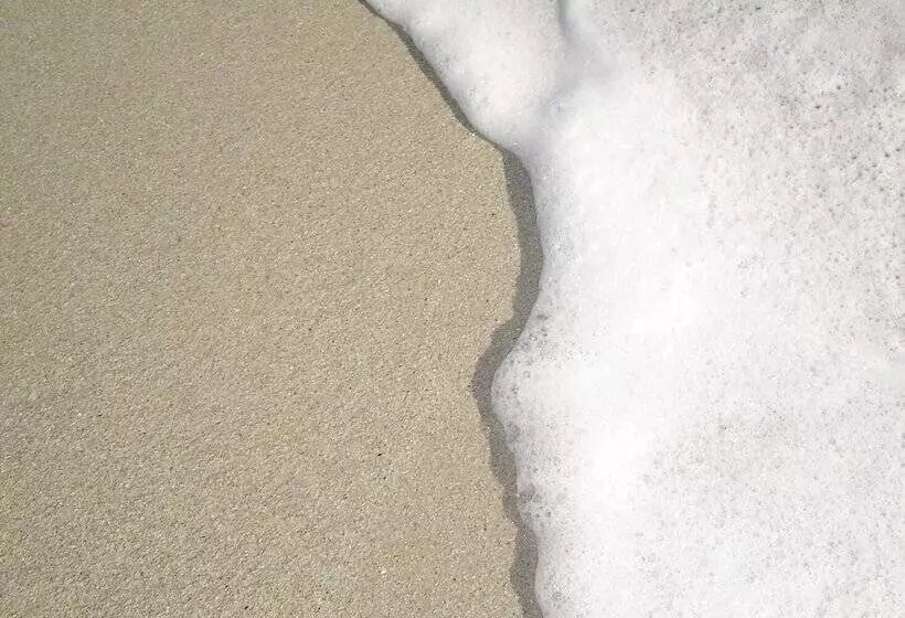 호텔 Le Petit Baigneur Palavas Plage