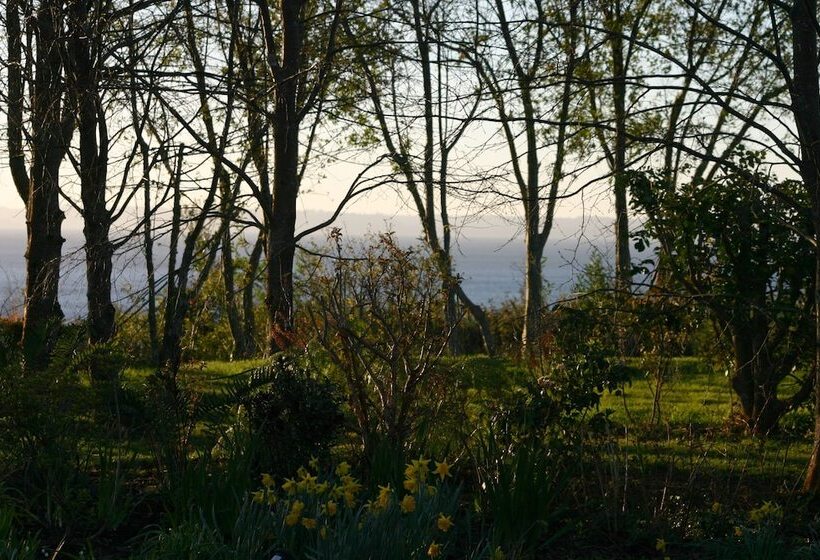 هتل Noi Los Caiquenes