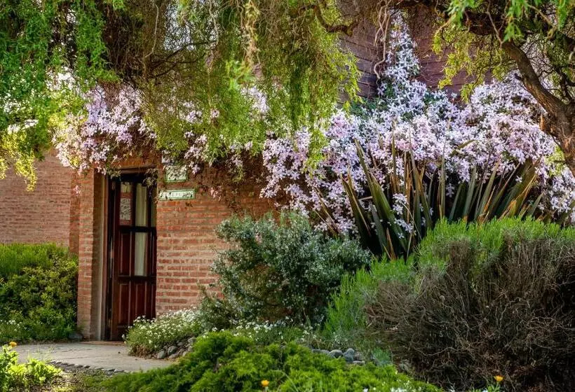 فندق Posada Larsen