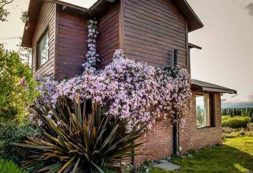 Отель Posada Larsen