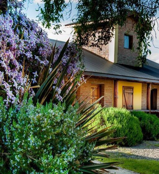 Отель Posada Larsen