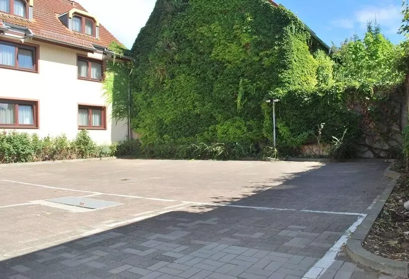 בית מלון כפרי Rheingauer Tor