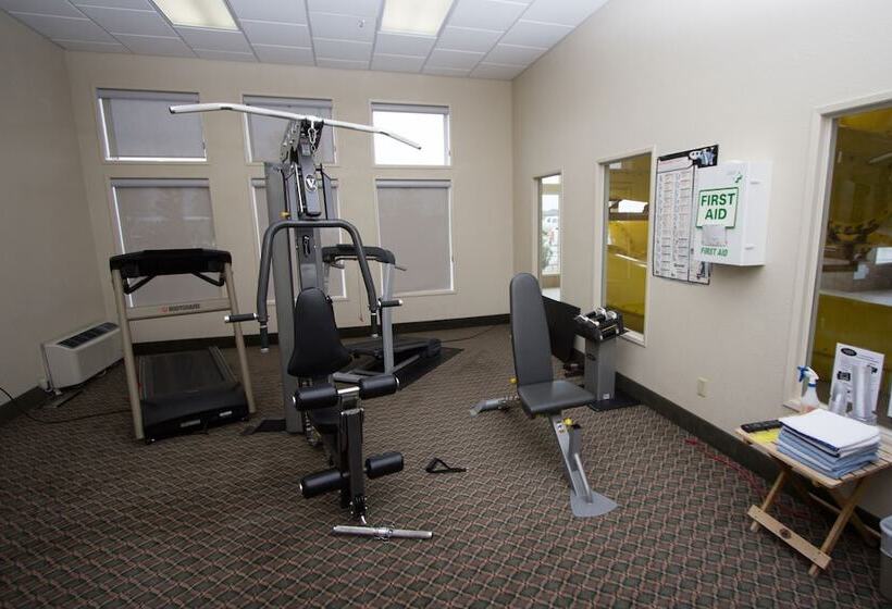 호텔 Service Plus Inns & Suites Drayton Valley