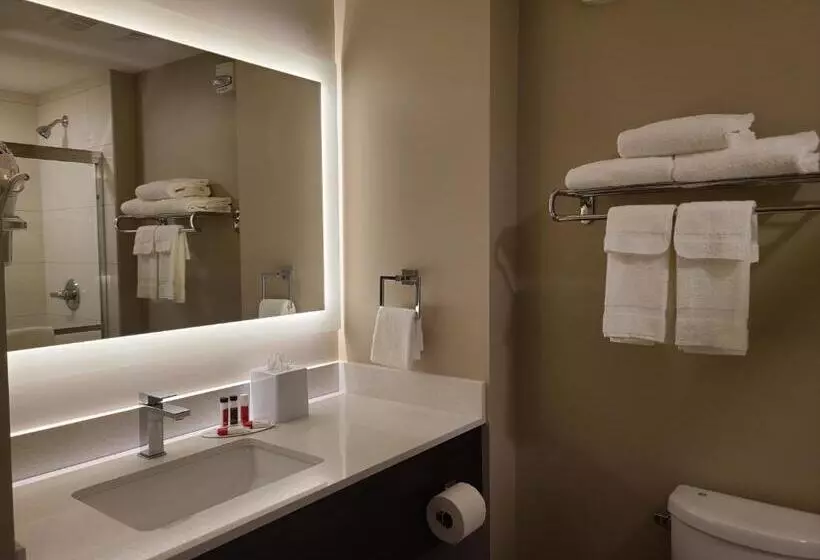 ホテル Super 8 By Wyndham Thompson