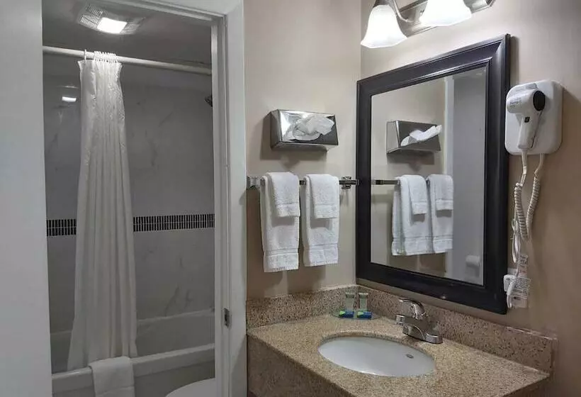 モーテル Arnprior Motor Inn