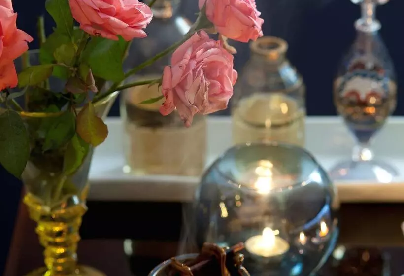 هتل Barcelo Cairo Pyramids