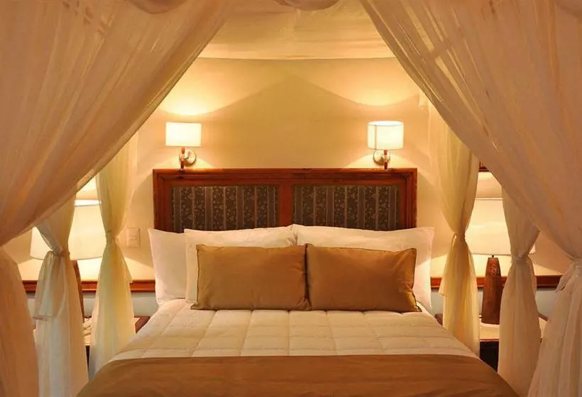 ホテル Boutique Casa Leal