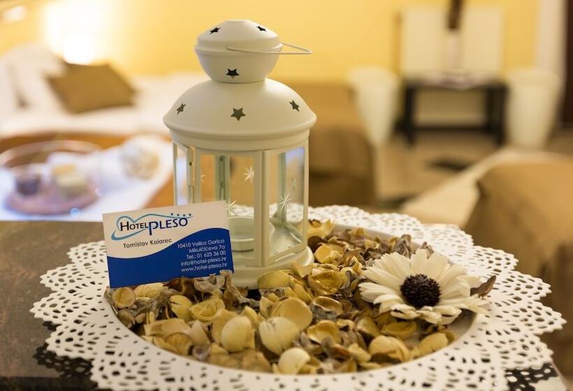 בית מלון כפרי Garny Pleso