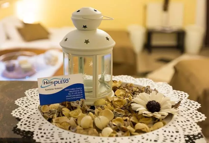 בית מלון כפרי Garny Pleso