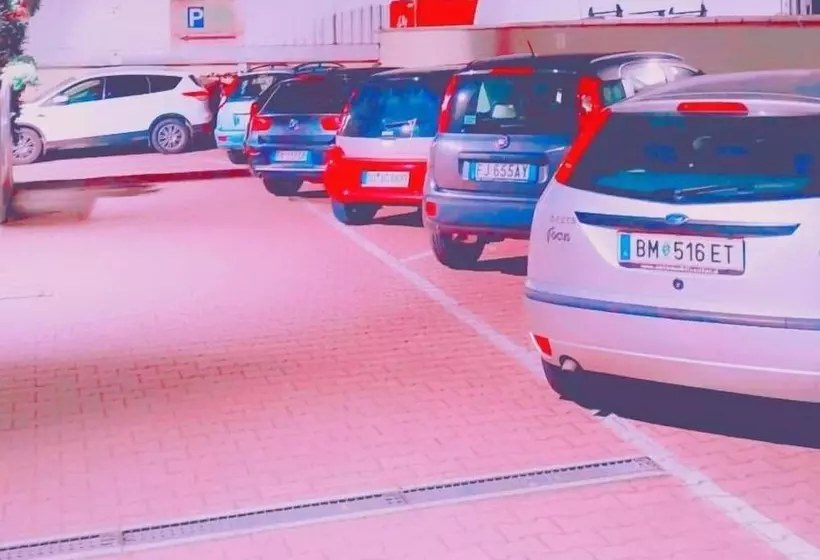 בית מלון כפרי Nuova Aurora Venice