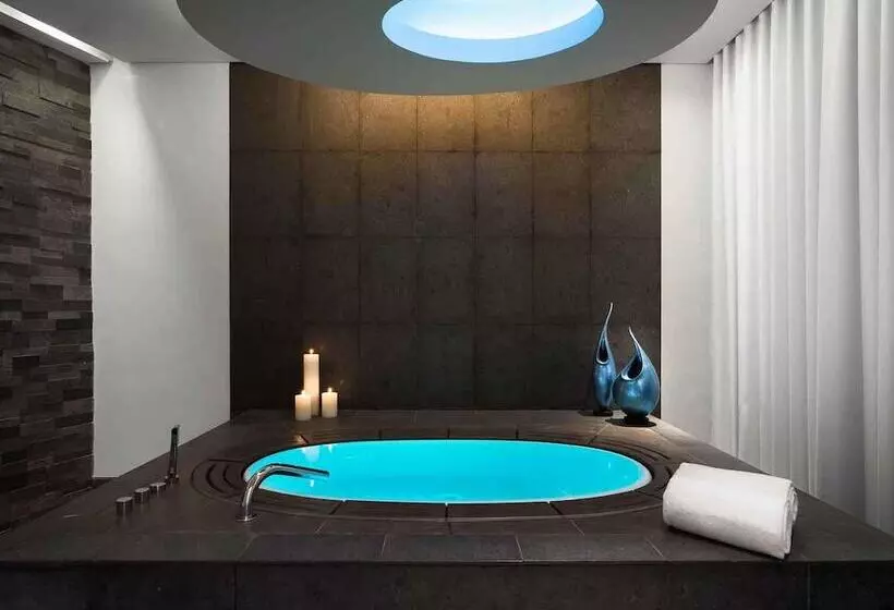 هتل Sofitel Dubai Downtown
