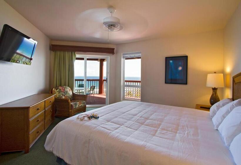 ホテル Club Wyndham Shearwater