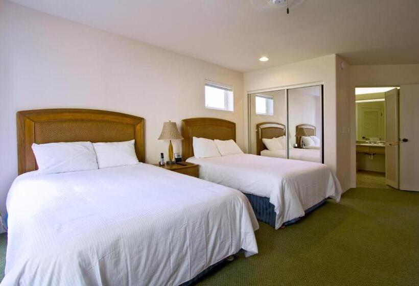 ホテル Club Wyndham Shearwater