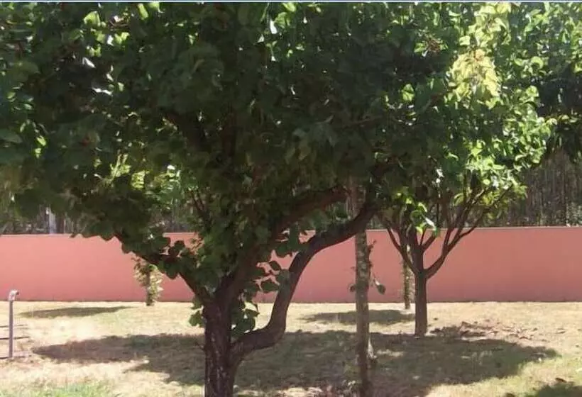 بنسيون Ribeirotel