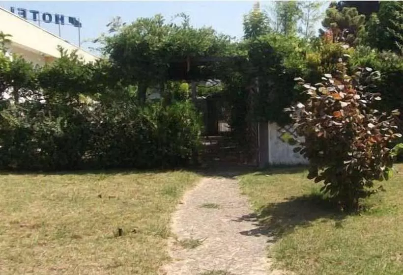 بنسيون Ribeirotel