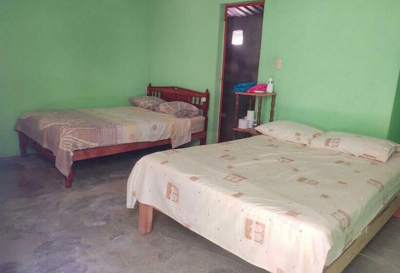 بنسيون Ola Perfecta Hostel