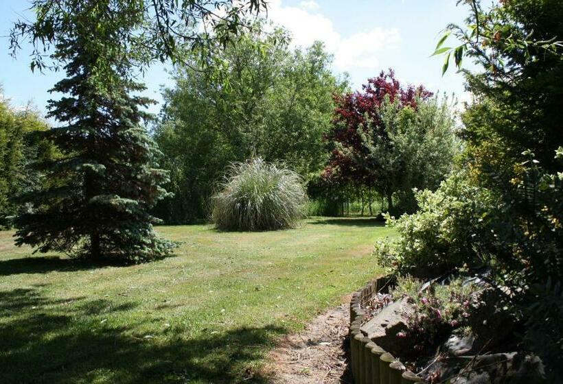 The Beeches Bed And Breakfast