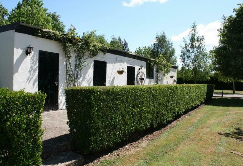 The Beeches Bed And Breakfast