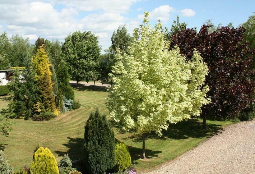 The Beeches Bed And Breakfast